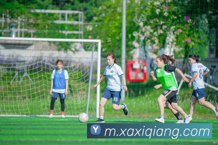 华体hth登录入口APP 封面图